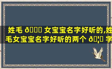 姓毛 🐒 女宝宝名字好听的,姓毛女宝宝名字好听的两个 🦉 字